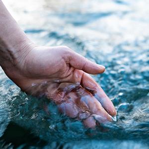 27926 RISE Water Wise Societies
