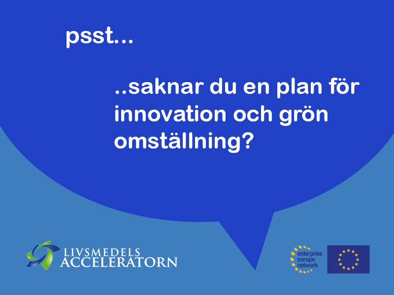 29106 Innovationsledning