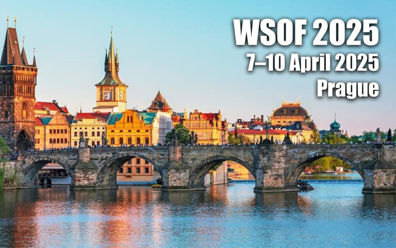 31255 WSOF Conference