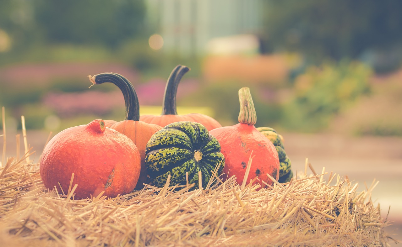 28968 pumpkin 2989569 1280
