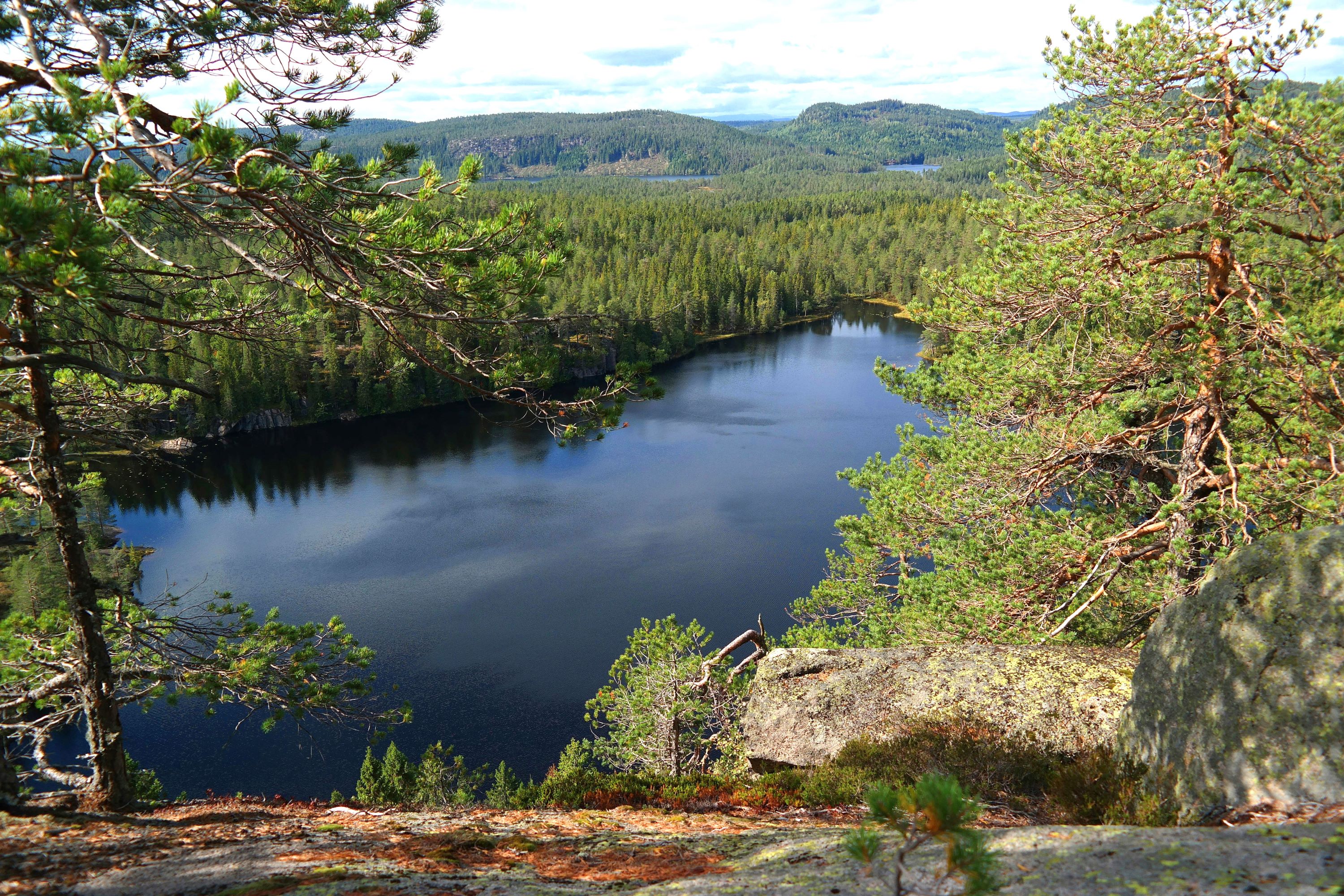 31374 1 pexels roemag 27742040 minskad storlek