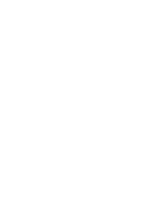 32380 rise logo rgb neg